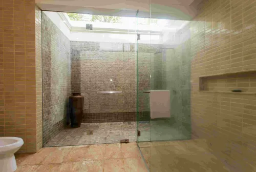 bougainvillea_52_of_108