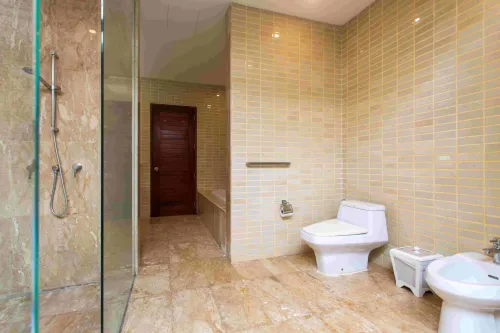 bougainvillea_54_of_108